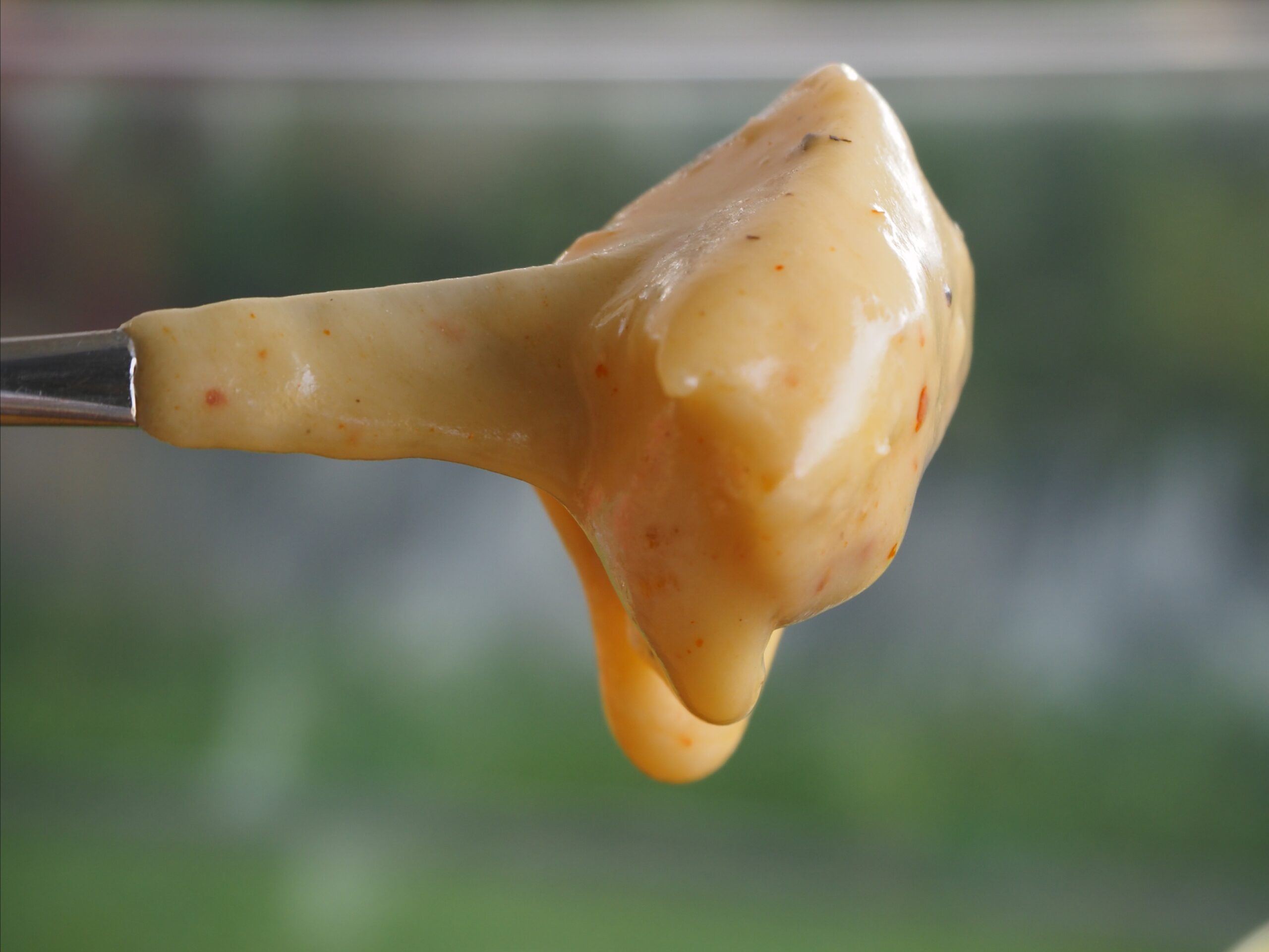 Bild von Käsefondue