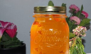 Bild von Kürbispüree